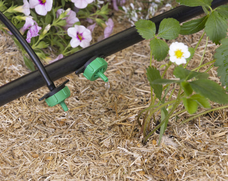 Sistemas de riego por goteo para jardín: lo esencial
