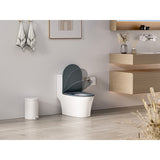 Tapa WC termoestable antracita ultrafina