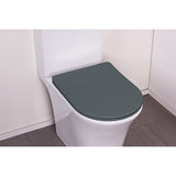 Tapa WC termoestable antracita ultrafina